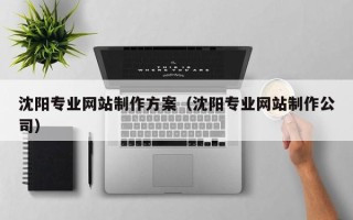 六安沈阳专业网站制作方案（沈阳专业网站制作公司）